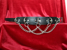 Load image into Gallery viewer, collar on display