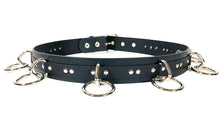 Load image into Gallery viewer, belt on display