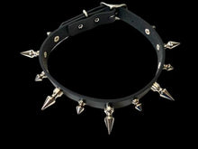 Load image into Gallery viewer, choker on display