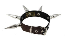 Load image into Gallery viewer, choker on display