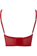 Load image into Gallery viewer, back of bra on display