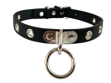 Load image into Gallery viewer, front of collar on display