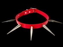 Load image into Gallery viewer, collar on display