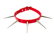 Load image into Gallery viewer, collar on display