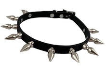 Load image into Gallery viewer, collar on display