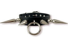 Load image into Gallery viewer, front of collar on display