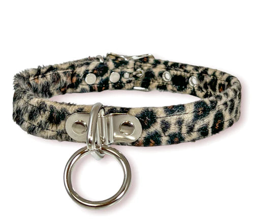 collar on display