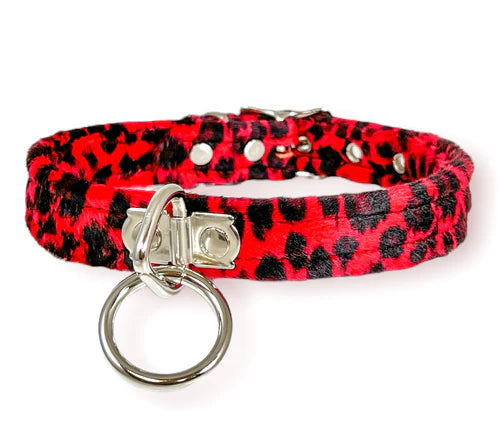 collar on display